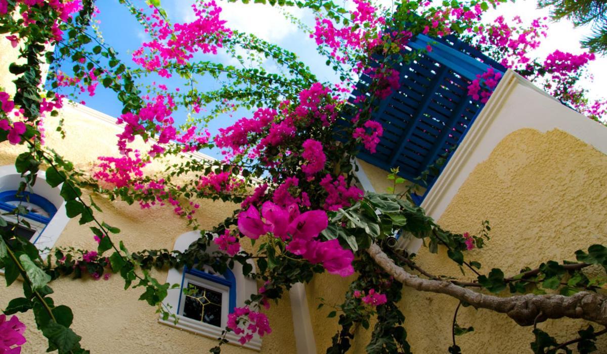 Hotel Zeus Kamári Eksteriør bilde